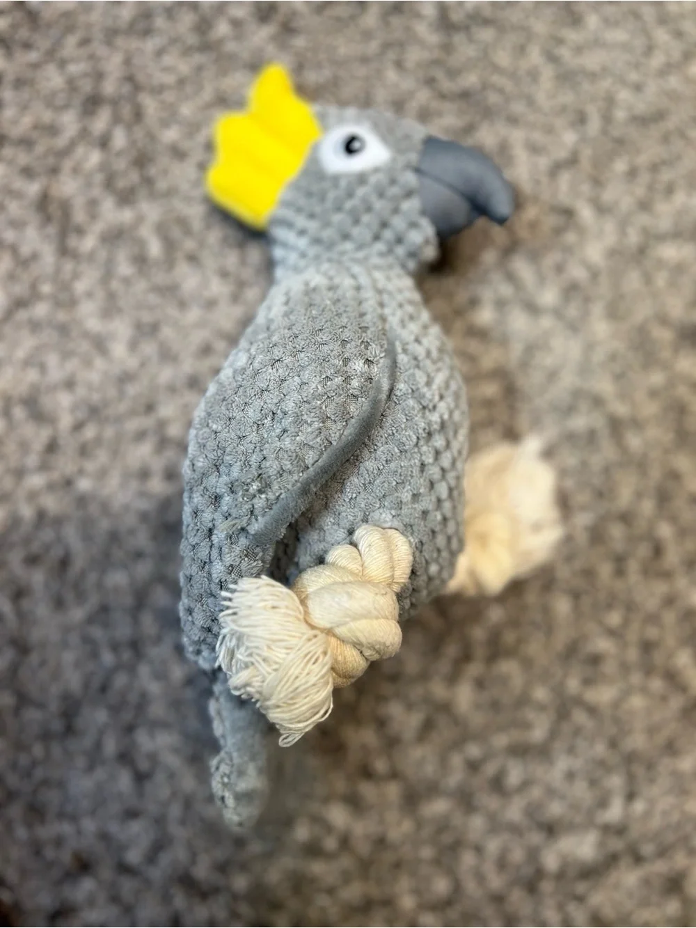 Pet Plush Toy Bundle - Gray, Yellow, Green, Blue Plush & Squeaky Toys